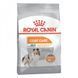 Сухий корм Royal Canin Mini Coat Care для собак дрібних порід з тьмяною і сухий шерстю, 1 кг