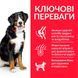 HILL'S SP Adult Large Breed Хиллс Сухой Корм ​​для Собак с Курицей - 14 кг
