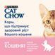 Cat Chow Kitten Кусочки в желе ягненок и цукини для котят 85 г