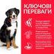 HILL'S SP Adult Large Breed Хіллс Сухий Корм для Собак з Ягням і Рисом - 14 кг