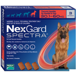 NexGard Spectra (Нексгард Спектра) таблетки от блох, клещей и гельминтов для собак 30-60 кг, упаковка (3 шт)