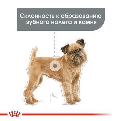 Сухой корм Royal Canin Mini Dental Care для уменьшения образования зубного камня у собак мелких пород, 1 кг.