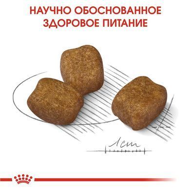 Сухой корм Royal Canin Mini Dental Care для уменьшения образования зубного камня у собак мелких пород, 1 кг.