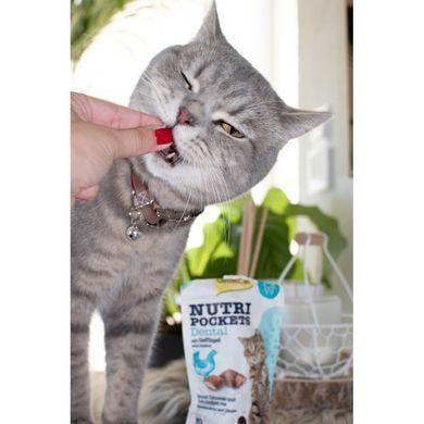 GimCat Nutri Pockets Dental Витаминное лакомство для кошек для зубов 60 г