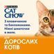 Cat Chow Adult Шматочки в желе з яловичиною та баклажанами 85 г