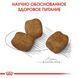 Сухой корм Royal Canin Mini Dental Care для уменьшения образования зубного камня у собак мелких пород, 1 кг.
