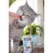 GimCat Nutri Pockets Dental Витаминное лакомство для кошек для зубов 60 г