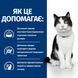 Hill's Prescription Diet Digestive Care i/d - Сухий корм для котів з куркою 400 г