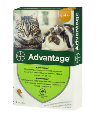 Bayer ADVANTAGE 40 (Адвантейдж) капли на холку от блох и клещей для котов до 4кг, пипетка