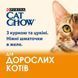 Cat Chow Adult Кусочки в желе с курицей и цуккини для кошек 85 г