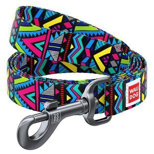 Collar Повідець WAUDOG Nylon з малюнком "Інді"