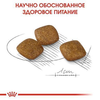 Сухий корм Royal Canin Mini Relax Care з заспокійливою дією для собак дрібних порід, 1 кг