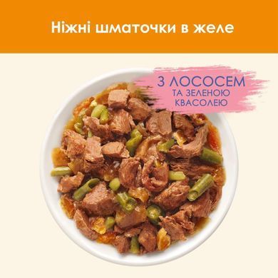 Cat Chow Adult Кусочки в желе с лососем и зеленой фасолью 85 г