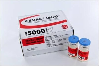 CEVA CEVAC ІBird СЕВАК ІBird - вакцина для птиці