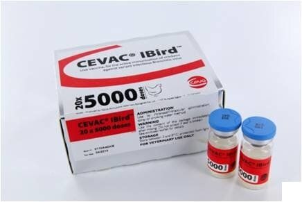 CEVA CEVAC ІBird СЕВАК ІBird - вакцина для птиці