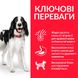 HILL'S SP Adult Medium Хиллс Сухой Корм ​​для Собак с Ягненком и Рисом - 800 г