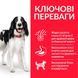 HILL'S SP Adult Medium Хиллс Сухой Корм ​​для Собак с Ягненком и Рисом - 800 г