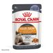 Royal Canin (Роял Канин) HAIR & SKIN CARE IN JELLY Влажный корм для кошек в желе