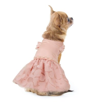 Платье для собак Pet Fashion «Азалия» XS
