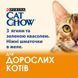 Cat Chow Adult Кусочки в желе с ягненком и зеленой фасолью для кошек 85 г