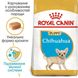 Royal Canin (Роял Канин) CHIHUAHUA PUPPY Cухой корм для щенков породы Чихуахуа 1,5 кг