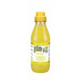 Шампунь Iv San Bernard Ginger and Elderberry дезінфікуюча, з бузиною та імбирем, 500 мл