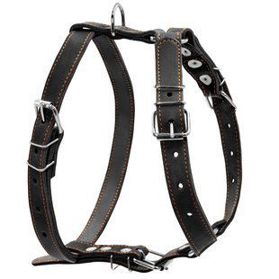 Collar Шлея одинарная CoLLaR