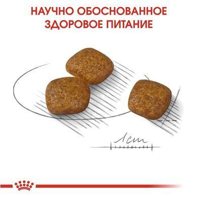 Сухой корм Royal Canin Mini Urinary Care для собак мелких пород с чувствительной мочевыделительной системой, 1 кг