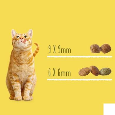 Friskies Sterilized - Сухой корм для кастрированных котов и стерилизованных кошек 0,3 кг