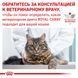 Вологий корм Royal Canin Urinary S/O при сечокам'яній хворобі у кішок, паштет, 85 г