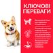 HILL'S SP Adult Small & Mini Хіллс Сухий Корм для Собак з Куркою - 1,5 кг