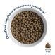 Home Food Nutritive Balanced Formula М&rsquo;ясне асорті &ndash; корм для дорослих собак малих порід 0,3 кг