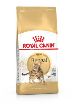 Royal Canin (Роял Канин) BENGAL ADULT Сухой корм для кошек породы бенгальская 2 кг