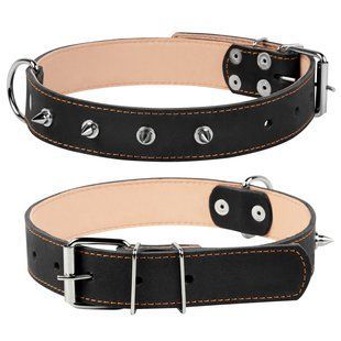 Collar Ошейник двойной CoLLaR с шипами