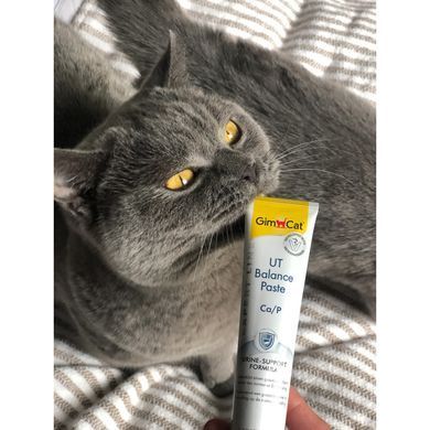 GimCat Expert Line UT Balance Вітаміни для котів паста для нирок та сечовивідних шляхів 50 г