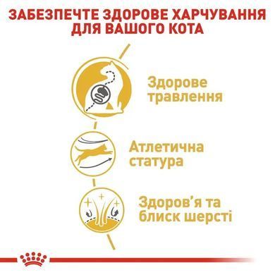 Royal Canin (Роял Канін) BENGAL ADULT Сухий корм для кішок породи бенгальська 2 кг