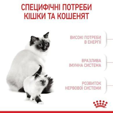 Royal Canin (Роял Канин) MOTHER & BABYCAT Cухой корм для кошки в период беременности и лактации, а также для котят 0,4 кг