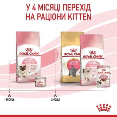 Royal Canin (Роял Канин) MOTHER & BABYCAT Cухой корм для кошки в период беременности и лактации, а также для котят 0,4 кг