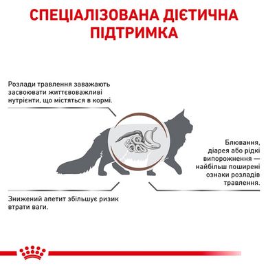 Royal Canin (Роял Канин) GASTRO INTESTINAL FELINE Сухой диетический корм для кошек при нарушениях пищеварения 4 кг