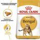 Royal Canin (Роял Канін) BENGAL ADULT Сухий корм для кішок породи бенгальська 2 кг