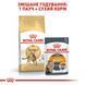 Royal Canin (Роял Канін) BENGAL ADULT Сухий корм для кішок породи бенгальська 2 кг