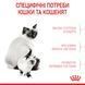 Royal Canin (Роял Канин) MOTHER & BABYCAT Cухой корм для кошки в период беременности и лактации, а также для котят 0,4 кг