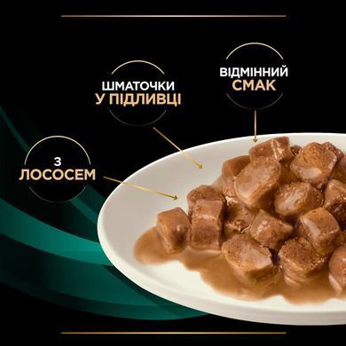 Purina Pro Plan Veterinary Diets EN - Вологий корм пауч для котів при захворюваннях шлунково-кишкового тракту з лососем 85 г, пачка