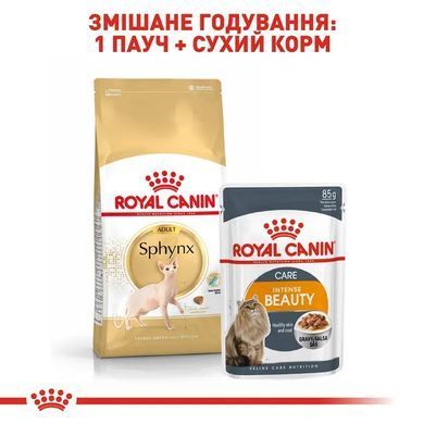 Royal Canin (Роял Канін) SPHYNX ADULT Сухий корм для кішок породи сфінкс 2 кг