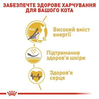 Royal Canin (Роял Канін) SPHYNX ADULT Сухий корм для кішок породи сфінкс 2 кг