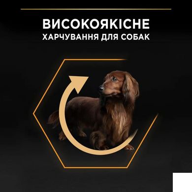 Pro Plan Dog Small & Mini Adult Rich in Chicken - Сухий корм для дорослих собак дрібних порід з куркою 0,7 кг