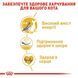 Royal Canin (Роял Канін) SPHYNX ADULT Сухий корм для кішок породи сфінкс 2 кг