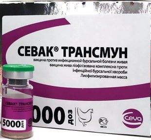 CEVA CEVAC TRANSMUNE СЕВАК ТРАНСМУН - вакцина для птиці