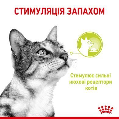 Royal Canin (Роял Канин) SENSORY SMELL GRAVY Влажный корм для кошек, стимулирующий обонятельные рецепторы в соусе