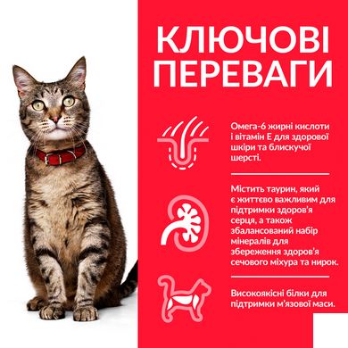 HILL'S SP Adult Хиллс Сухой Корм ​​для Кошек с Ягненком и Рисом - 3 кг